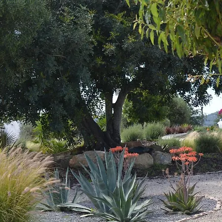 Quinta Luz Do Sol Couette-café