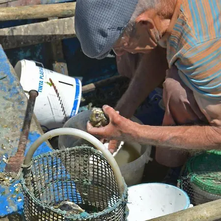 Quinta Luz Do Sol 4* Moncarapacho