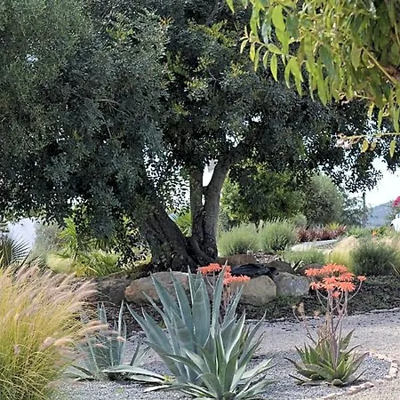 Bed & Breakfast Quinta Luz Do Sol Moncarapacho