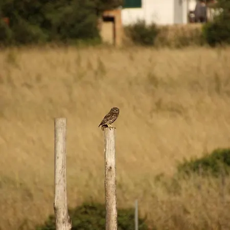Quinta Luz Do Sol 4* Moncarapacho